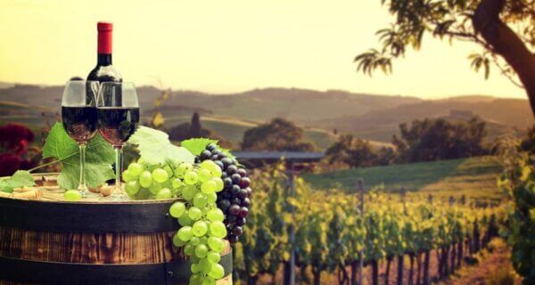 Wine-tours-in-Armenia